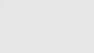 Screenshot von Pregnancy + 7