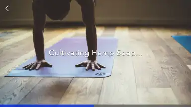 Screenshot von Yoga | Down Dog 2