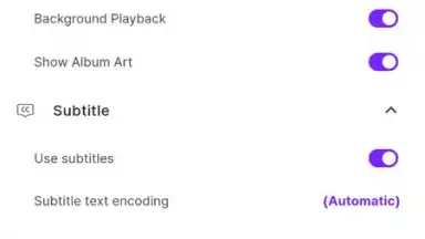 Screenshot von KMPlayer 8
