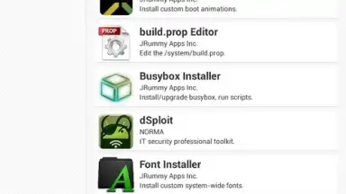 Screenshot von Root Check 1