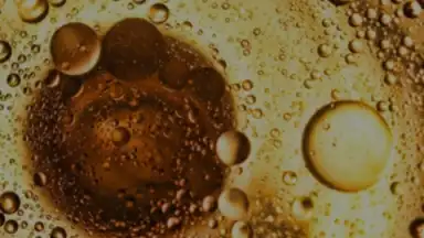 Screenshot von Rap Music Radio Full 2