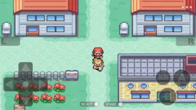 Screenshot von Pokemon Collection 3