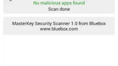 Screenshot von Bluebox Security Scanner 2