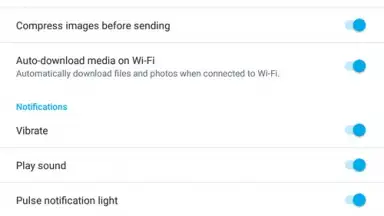 Screenshot von Skype Lite 1
