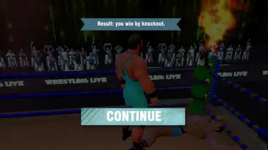 Screenshot von Tag Team Wrestling Games: Mega Cage Ring Fighting 7