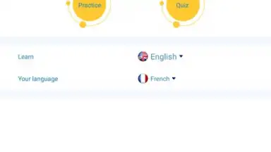 Screenshot von Reverso Translation Dictionary 15