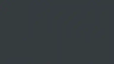 Screenshot von FlashFox - Flash Browser 1