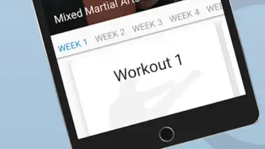 Screenshot von Ultimate MMA Fighting Program 5