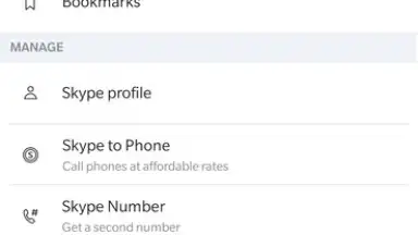 Screenshot von Skype 1