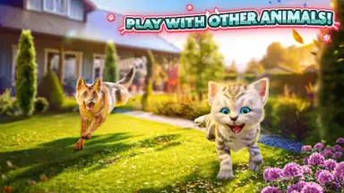 Screenshot von Cat Simulator 2 5