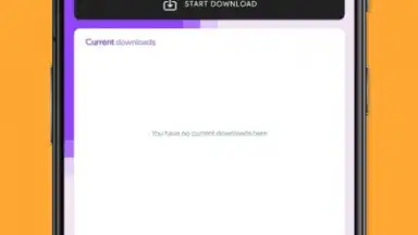 Screenshot von Twitch Downloader 3