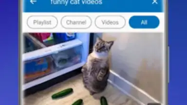 Screenshot von FreeTube 4