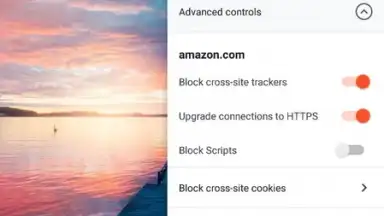 Screenshot von Brave Nightly (devs & testers) 1
