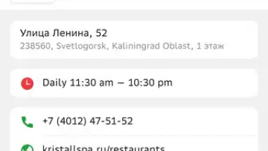 Screenshot von 2GIS 17