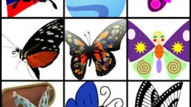Screenshot von Butterfly Flower for DoodleTex 4