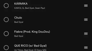 Screenshot von Spotify 15