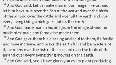 Screenshot von Bible-Discovery 12