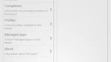 Screenshot von AirWatch Agent 3