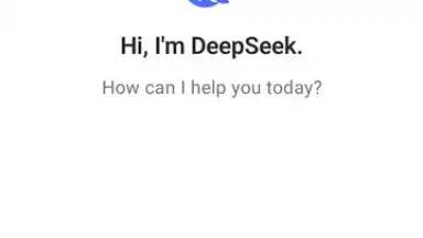 Screenshot von DeepSeek 1