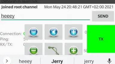 Screenshot von TeamTalk 9