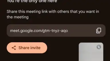 Screenshot von Google Meet 15