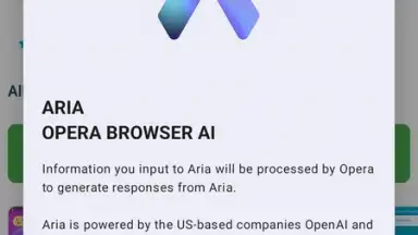 Screenshot von Opera Browser 22
