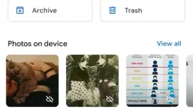Screenshot von Google Photos 7