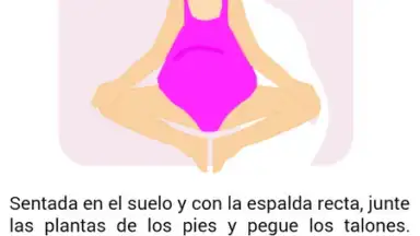 Screenshot von Semanas Embarazo 5