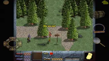 Screenshot von Dink Smallwood HD 8