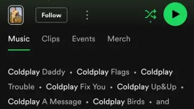 Screenshot von Spotify 28