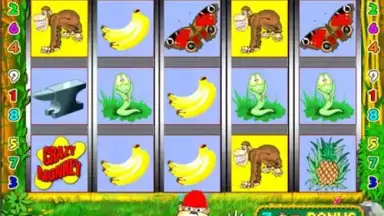 Screenshot von Crazy monkey slot 6