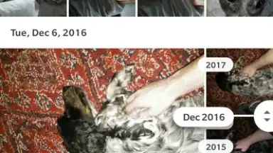 Screenshot von Google Photos 4