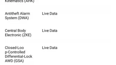 Screenshot von ThinkDiag+ 8