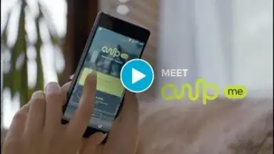 Screenshot von AmpMe 1