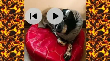 Screenshot von iShot Video Editor 4