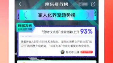 Screenshot von Jingdong 2