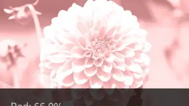 Screenshot von After Effect 8