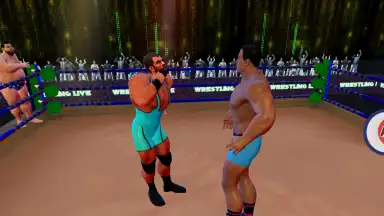 Screenshot von Tag Team Wrestling Games: Mega Cage Ring Fighting 1