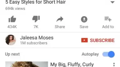Screenshot von YouTube Pro Downloder 1