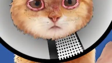 Screenshot von Cat ASMR: Salon Makeover 3