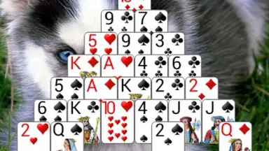 Screenshot von 250+ Solitaire Collection 8