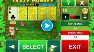 Screenshot von Crazy Monkey Slot Machine 1