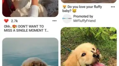 Screenshot von Pinterest 3