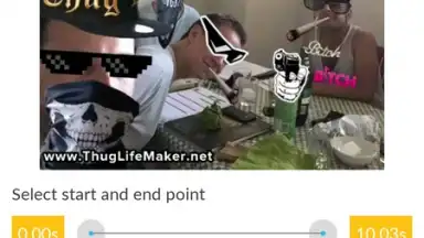 Screenshot von Video and GIF Memes 6