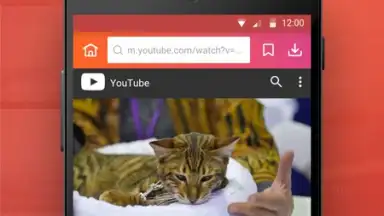 Screenshot von InsTube YouTube Downloader 6