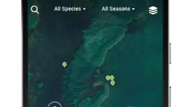Screenshot von FishBrain 1
