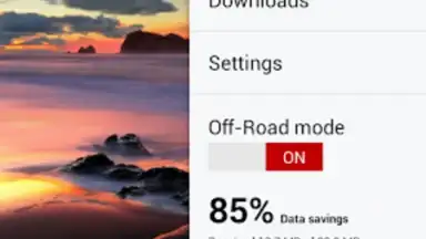 Screenshot von Opera Browser 14