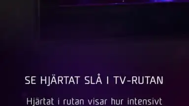 Screenshot von Melodifestivalen 3