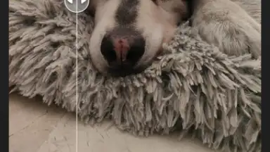 Screenshot von Wink 1