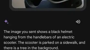 Screenshot von Google Gemini 17